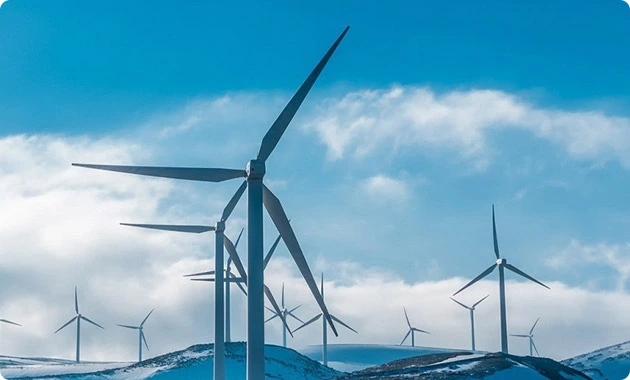 Wind Power Projects of Renewable Energy Developers
