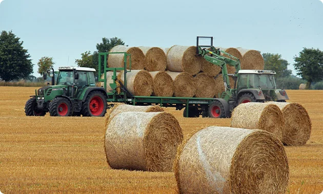Energy Farming of Renewable Energy Developers